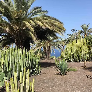 Résidence Pierre&vacances Marazul Del Sur Appart hôtel